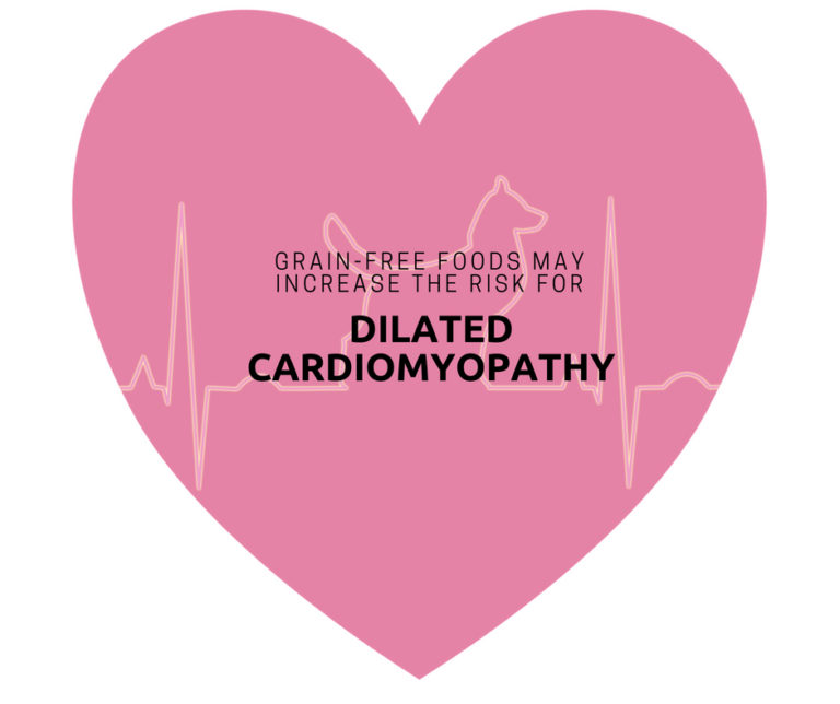 Update Dog Food and Heart Disease Covington Veterinary Clinic